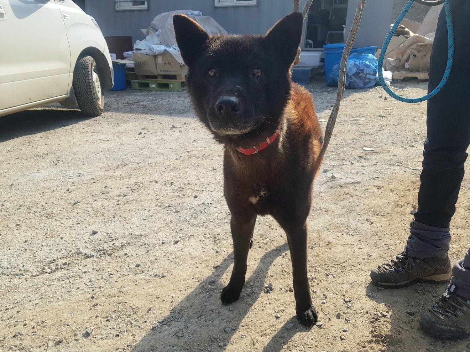 광주TNR동물병원송정_441554202300299